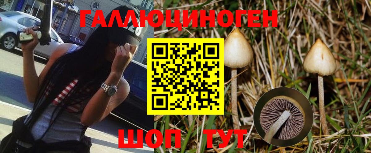 Зима  Галлюциногенные грибы MAGIC MUSHROOMS  Вход с VPN  Галлюциногенные грибы MAGIC MUSHROOMS 